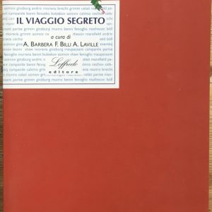 Il viaggio segreto. Avventure della vita. Guide alla lettura ed esercizi.