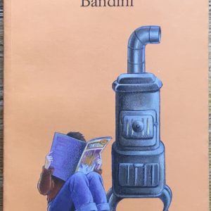 Aspetta primavera, Bandini
