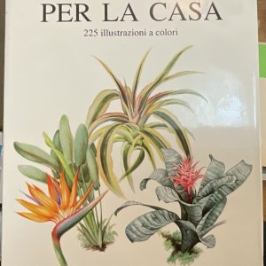 Piante per la casa
