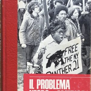 Il problema negro in America
