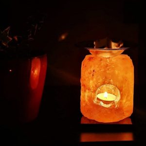 Diffusore Oli Essenziali in Sale Himalayano per Aromaterapia BiciBio Bioprofumeria