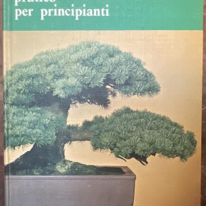 Bonsai pratico per principianti