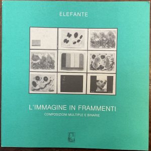 L’immagine in frammenti. Composizioni multiple e binarie