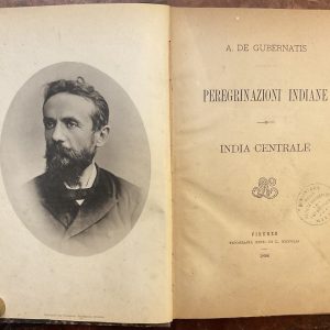 Peregrinazioni indiane. India centrale