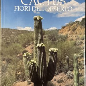 Cactus. Fiori del deserto
